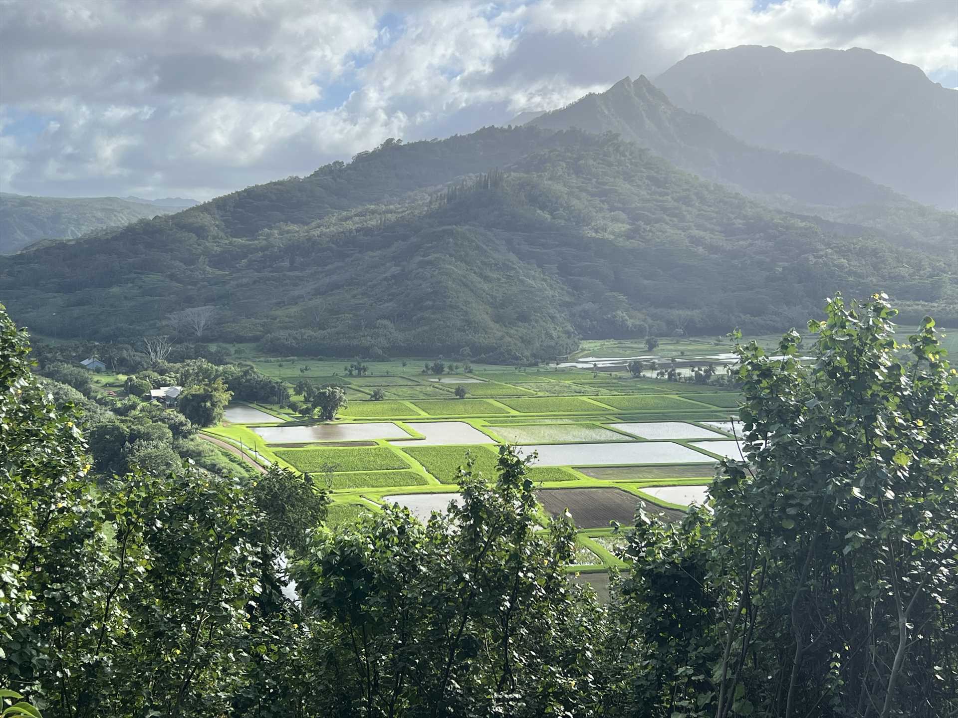 Hanalei