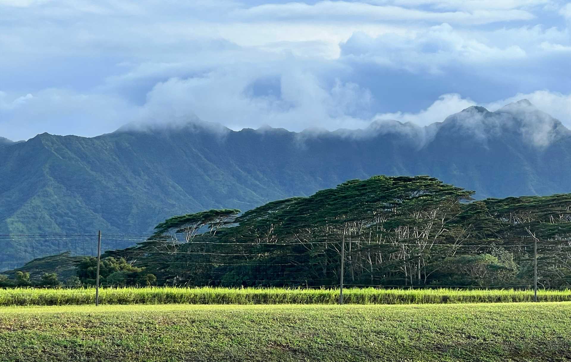 Hanalei