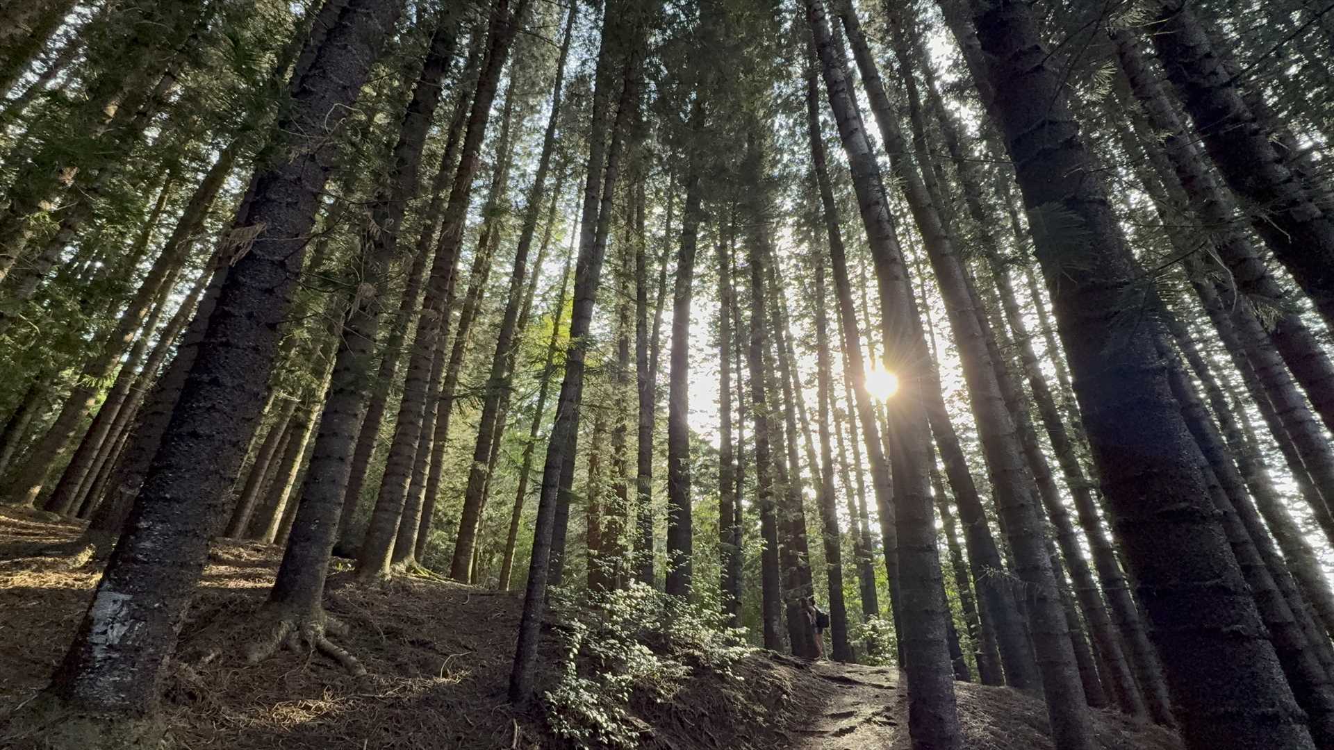 Sleeping Giant Hike Trail