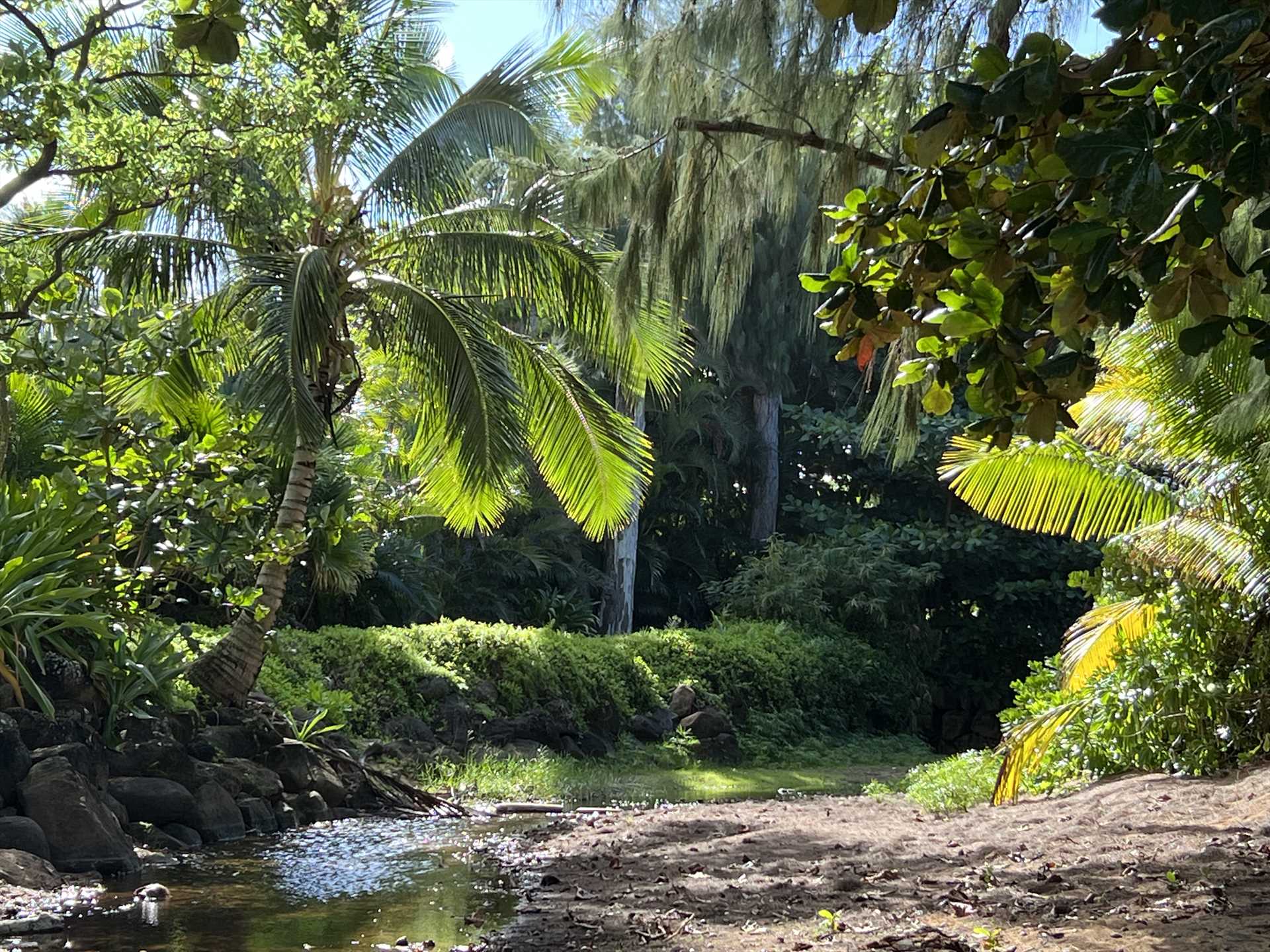 Stream Anini Beach