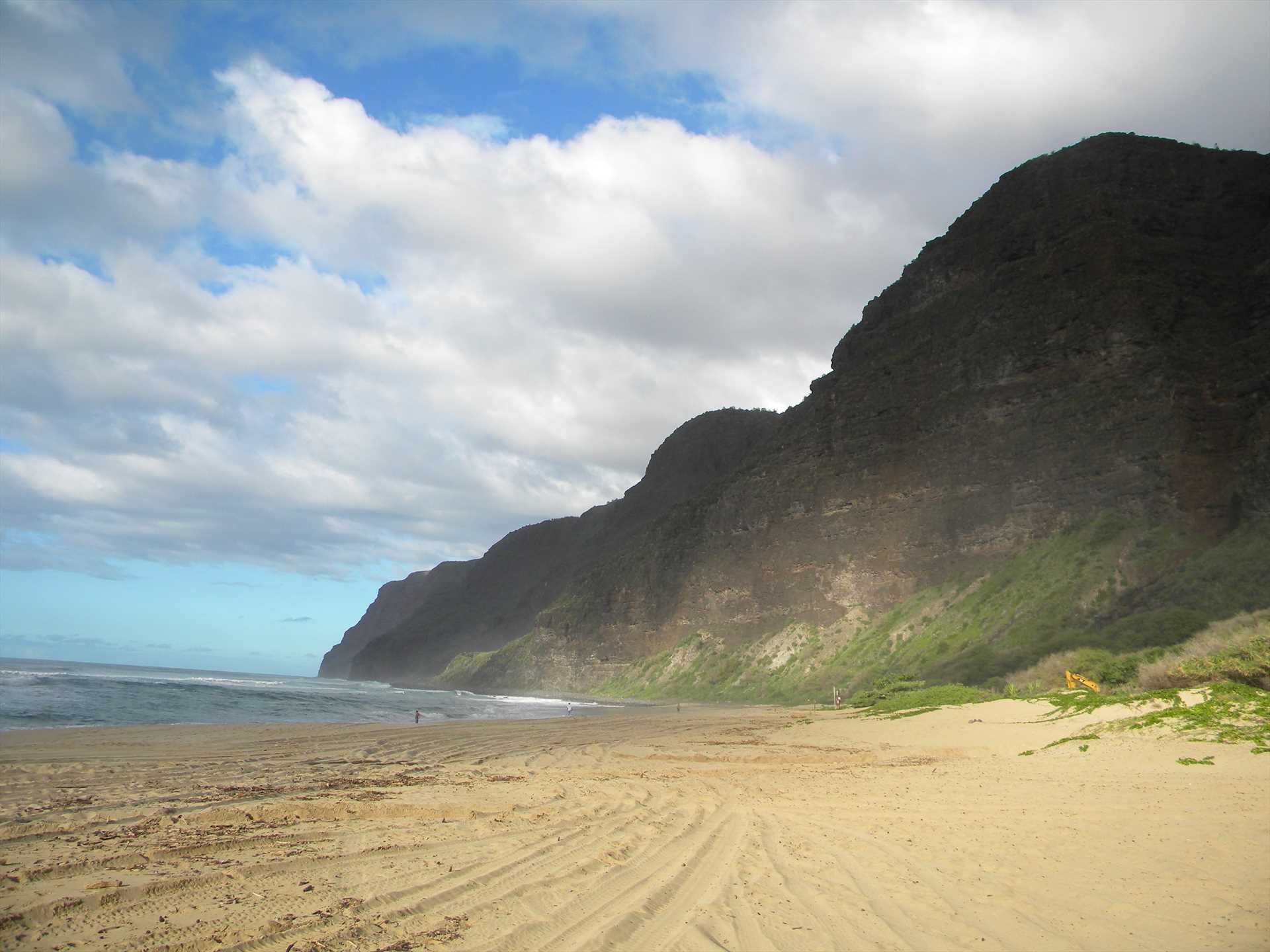 Polihale Beach