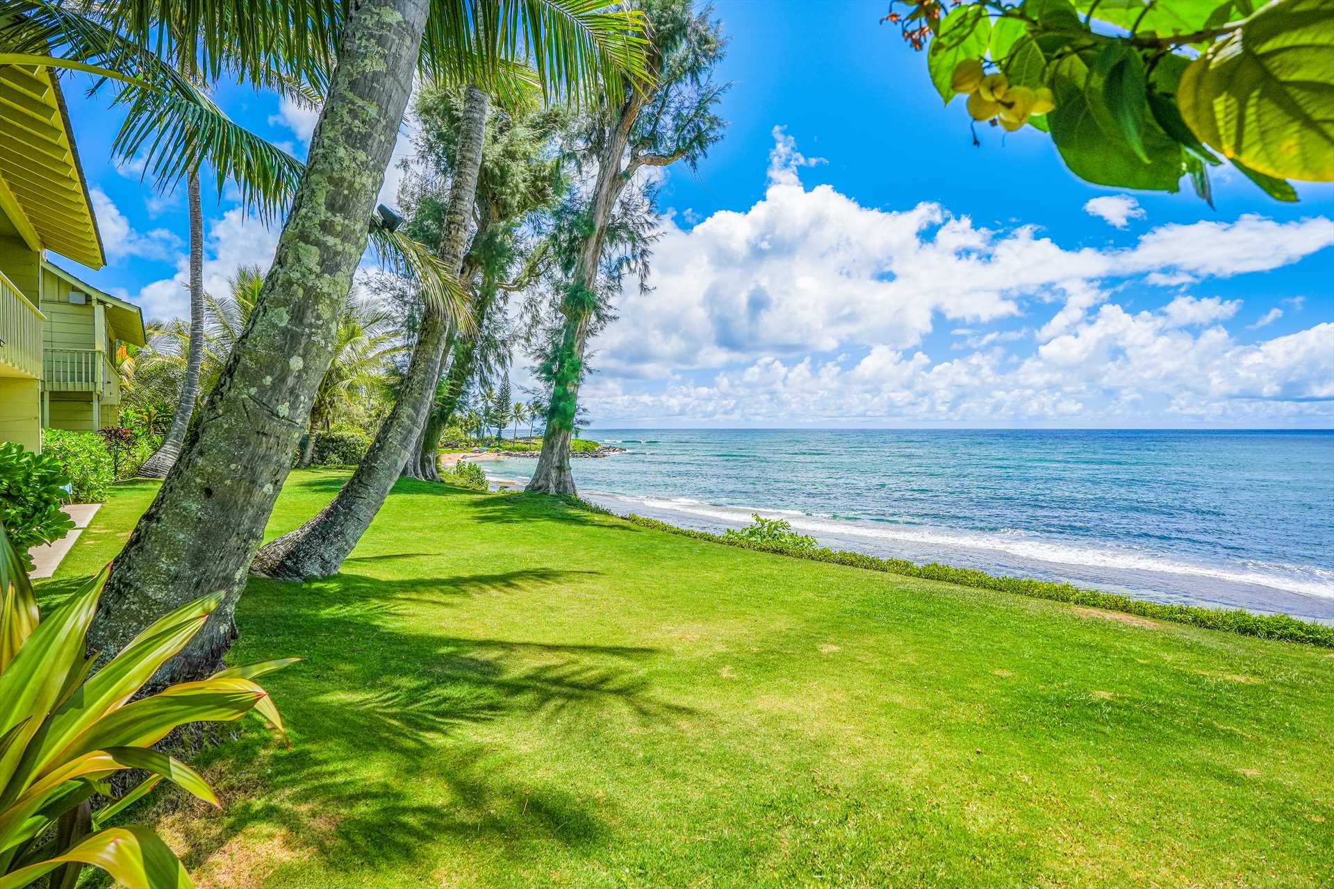 Grounds and Beach side