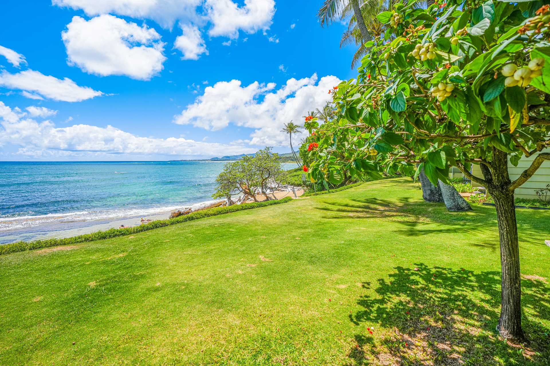 Grounds and Beach side